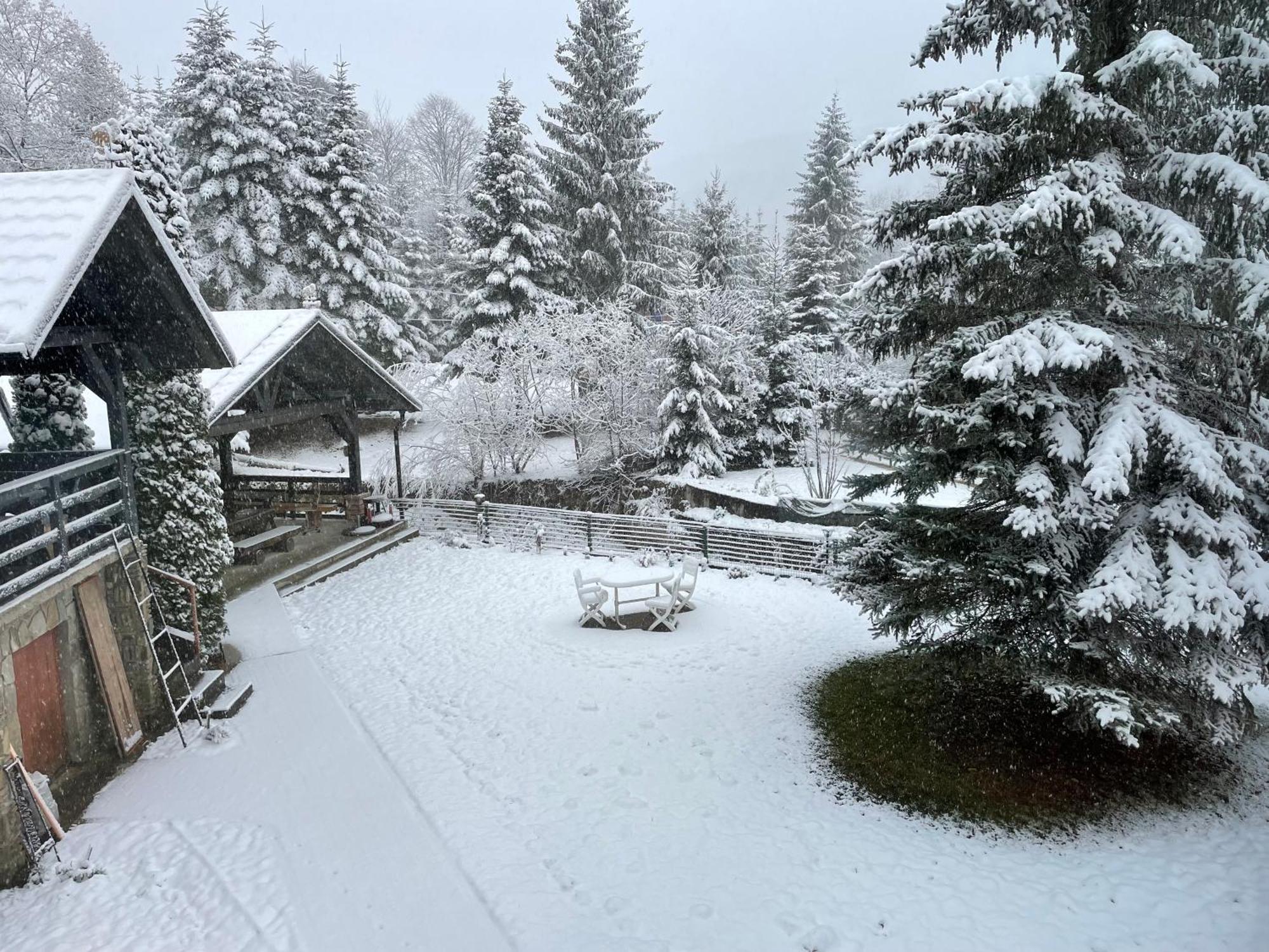 Отель Montana Сучевица Экстерьер фото