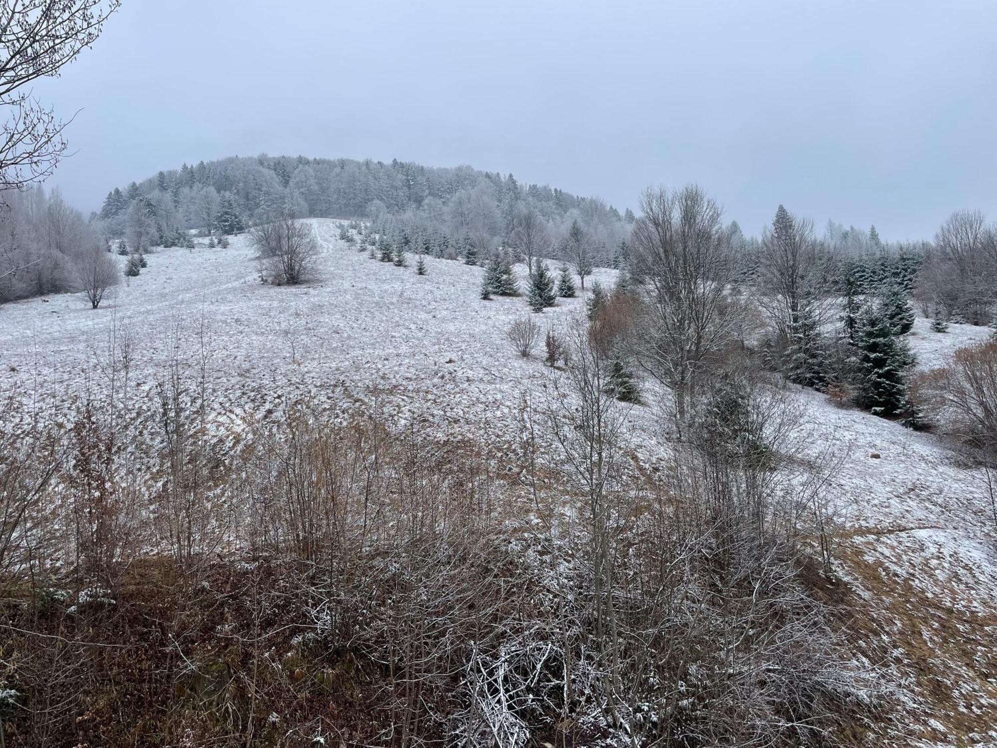 Отель Montana Сучевица Экстерьер фото