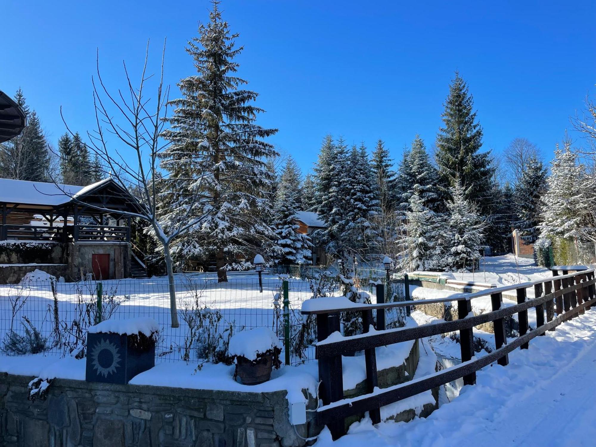 Отель Montana Сучевица Экстерьер фото